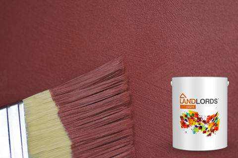 anti damp paint