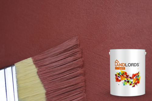 anti damp paint